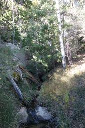 Utopia creek [sat oct 19 10:29:24 mdt 2019]